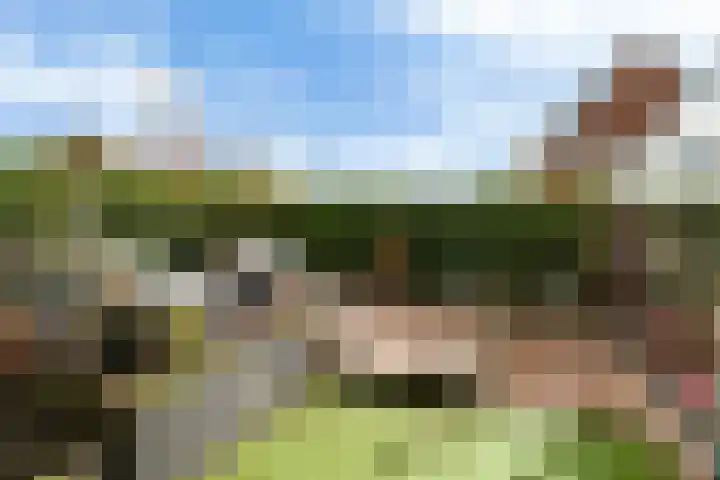 H. Ringenoldusstrjitte 14 Gorredijk thumbnail 25