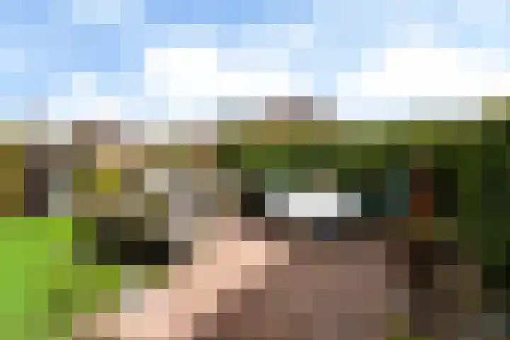 H. Ringenoldusstrjitte 14 Gorredijk thumbnail 26