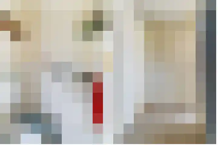 H. Ringenoldusstrjitte 14 Gorredijk thumbnail 27