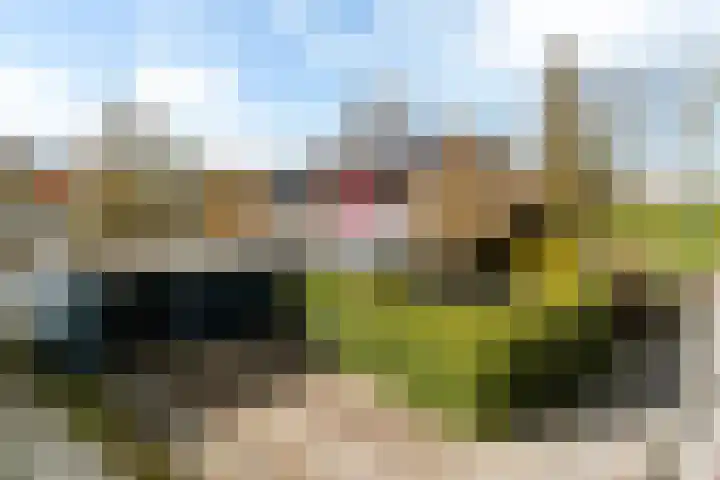 H. Ringenoldusstrjitte 14 Gorredijk thumbnail 42