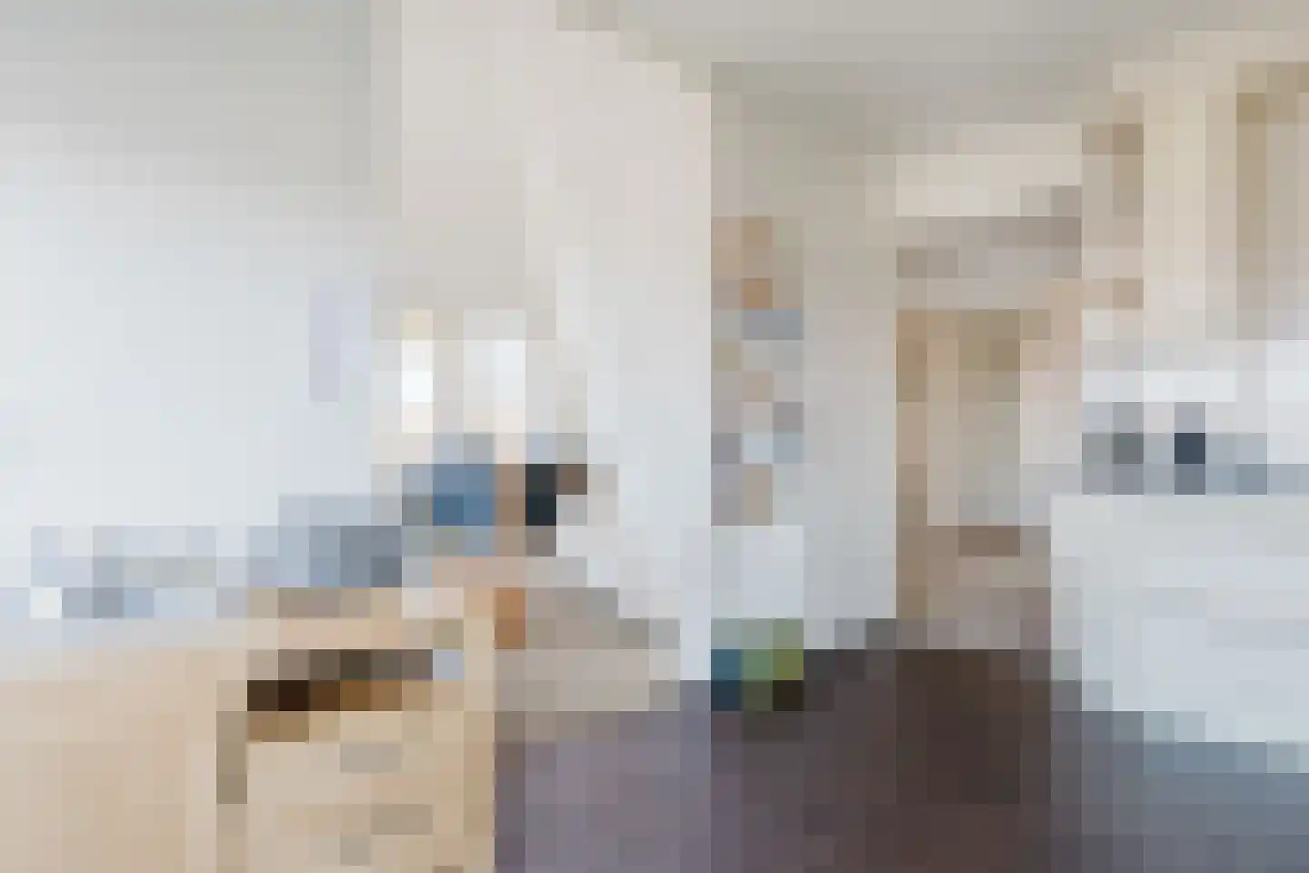 H. Ringenoldusstrjitte 2 M Gorredijk thumbnail 11