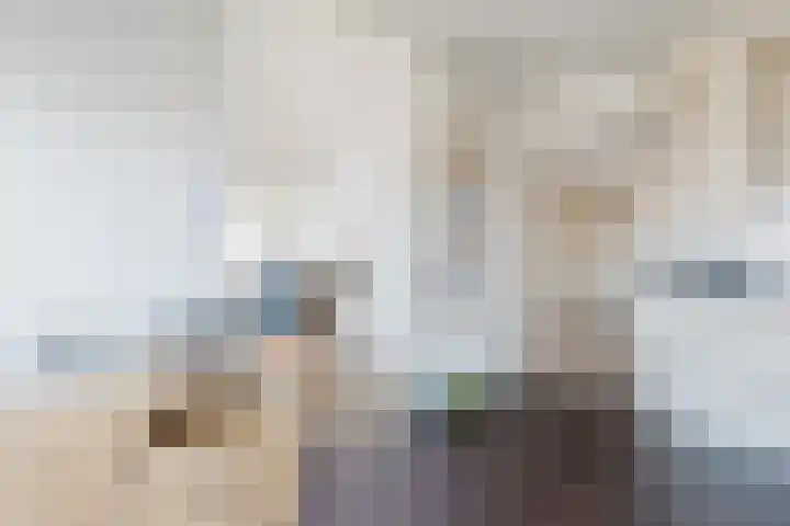 H. Ringenoldusstrjitte 2 M Gorredijk thumbnail 11