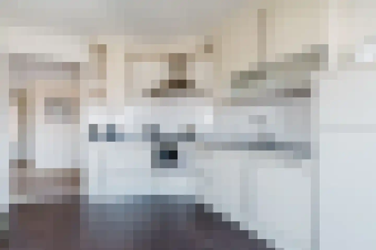 H. Ringenoldusstrjitte 2 M Gorredijk thumbnail 15