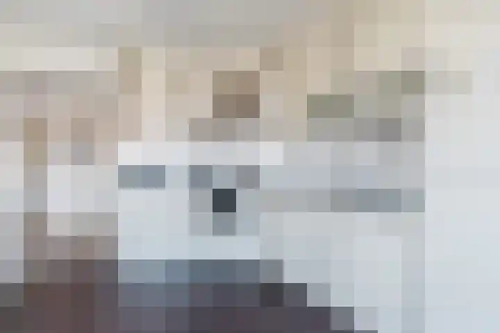 H. Ringenoldusstrjitte 2 M Gorredijk thumbnail 15