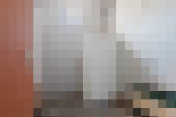 H. Ringenoldusstrjitte 2 M Gorredijk thumbnail 31