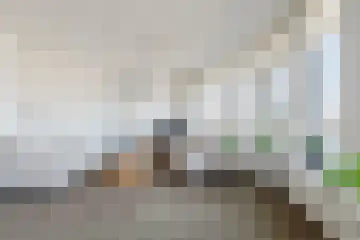 H. Ringenoldusstrjitte 2 M Gorredijk thumbnail 6