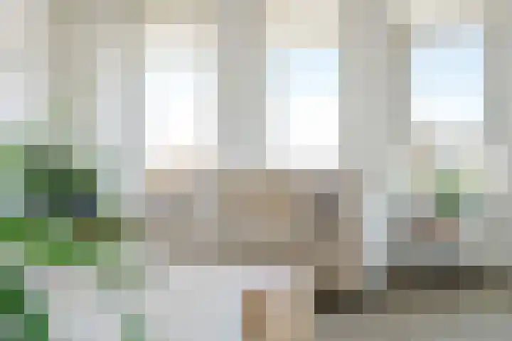 H. Ringenoldusstrjitte 2 M Gorredijk thumbnail 8