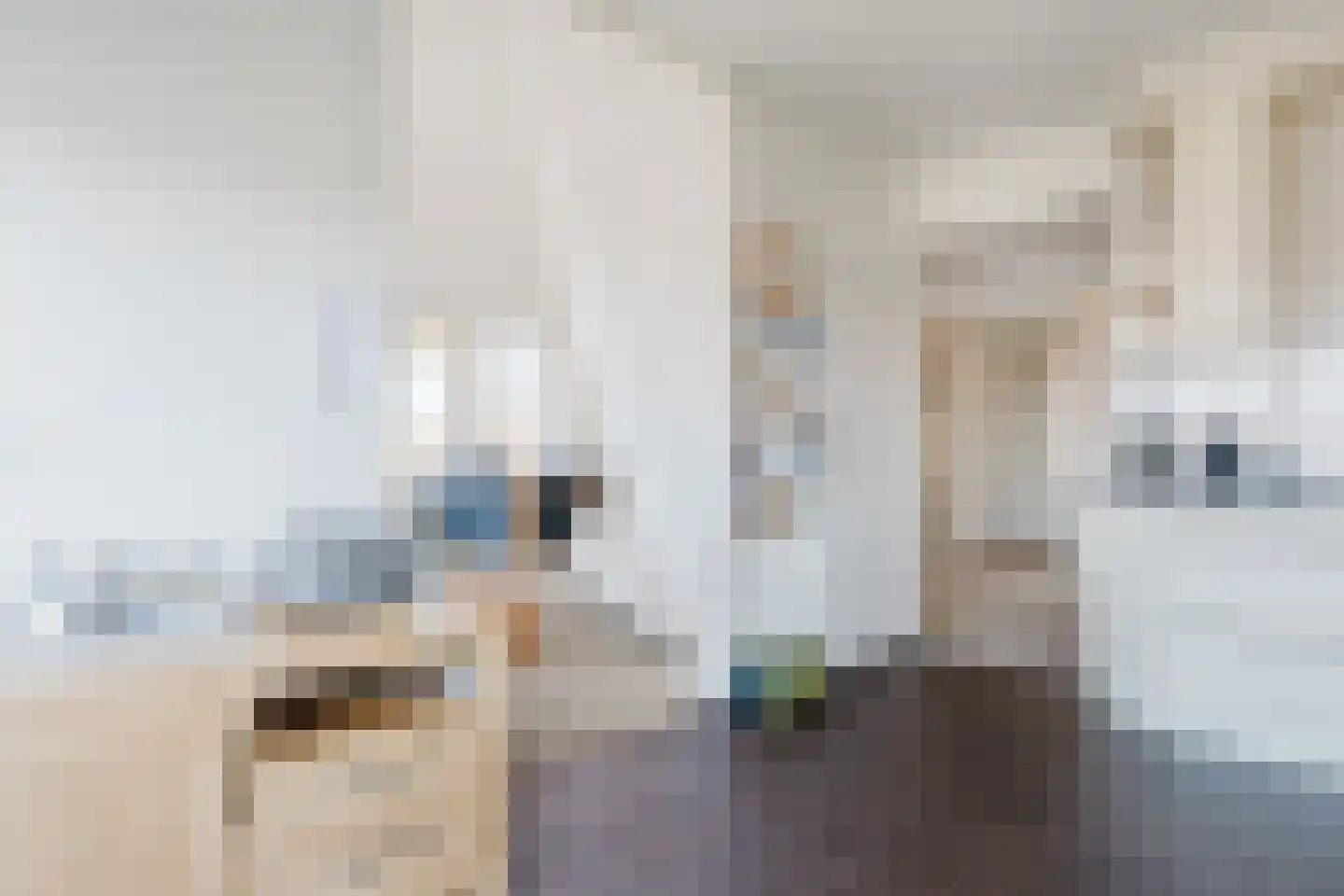 H. Ringenoldusstrjitte 2 M Gorredijk thumbnail 8