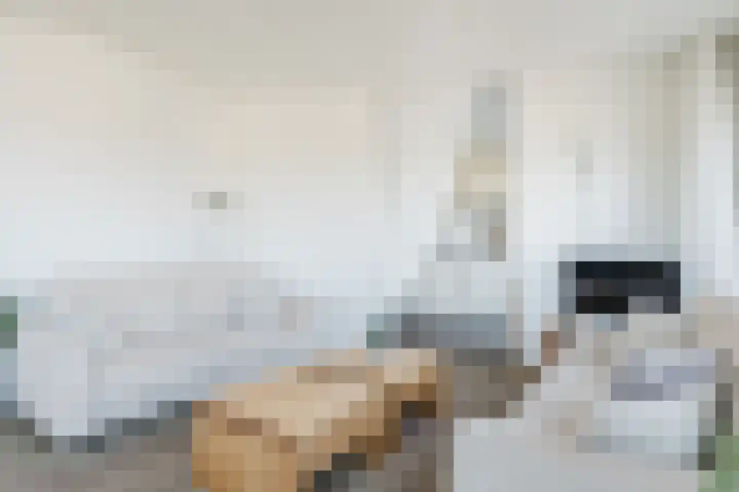 H. Ringenoldusstrjitte 2 M Gorredijk thumbnail 9