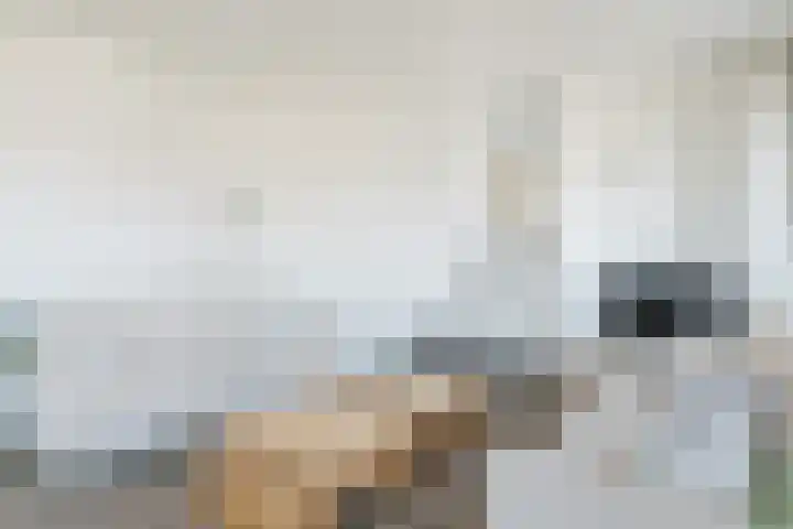 H. Ringenoldusstrjitte 2 M Gorredijk thumbnail 9