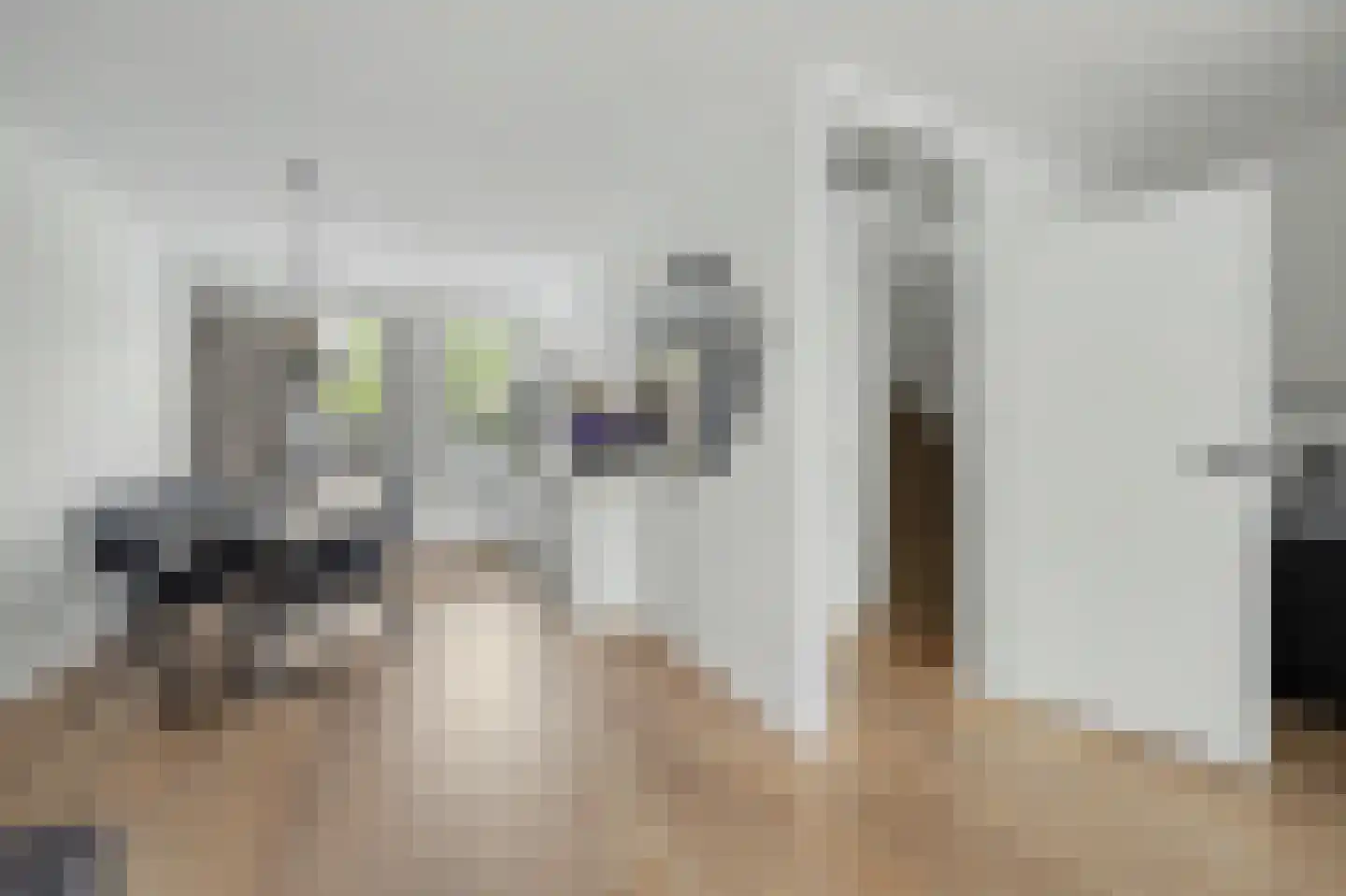 H Roland Holstlaan 13 Kloetinge thumbnail 11