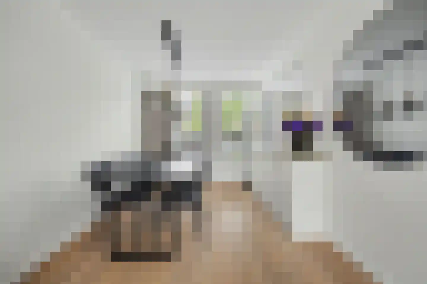 H Roland Holstlaan 13 Kloetinge thumbnail 13