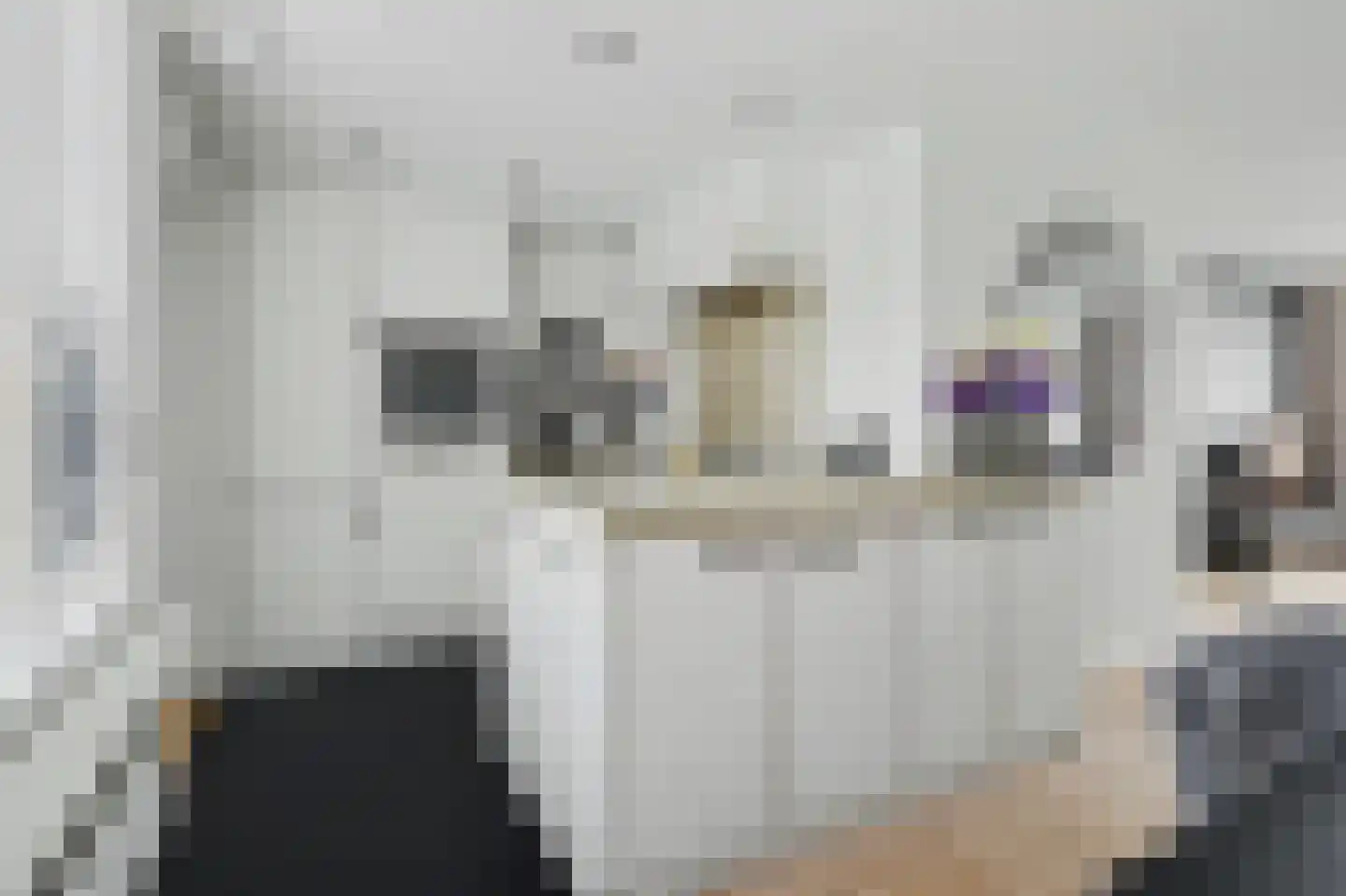 H Roland Holstlaan 13 Kloetinge thumbnail 15
