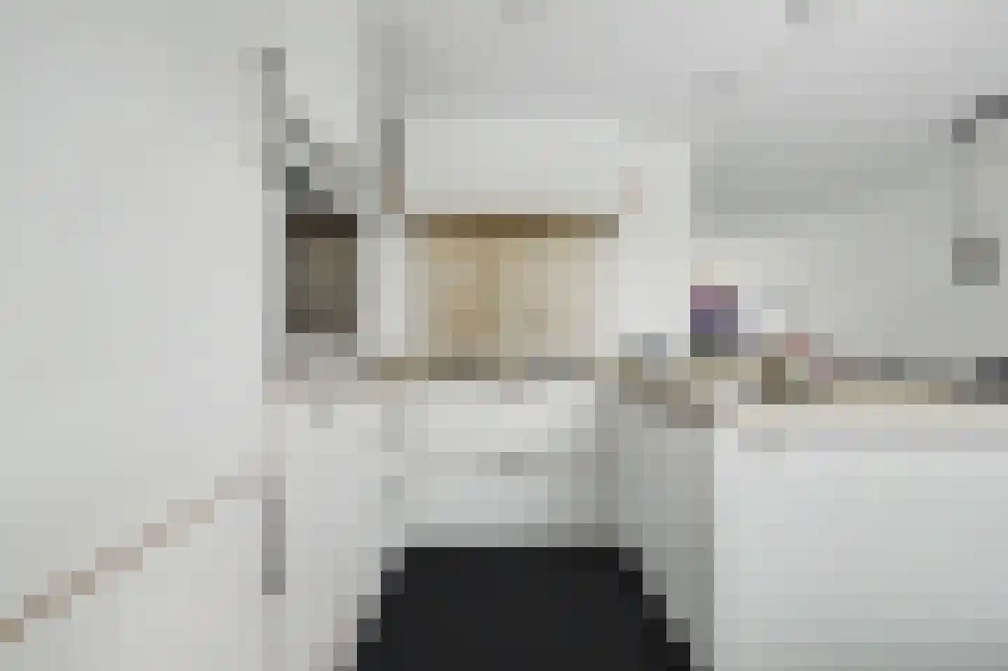 H Roland Holstlaan 13 Kloetinge thumbnail 17