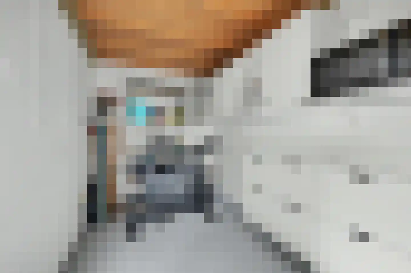 H Roland Holstlaan 13 Kloetinge thumbnail 18