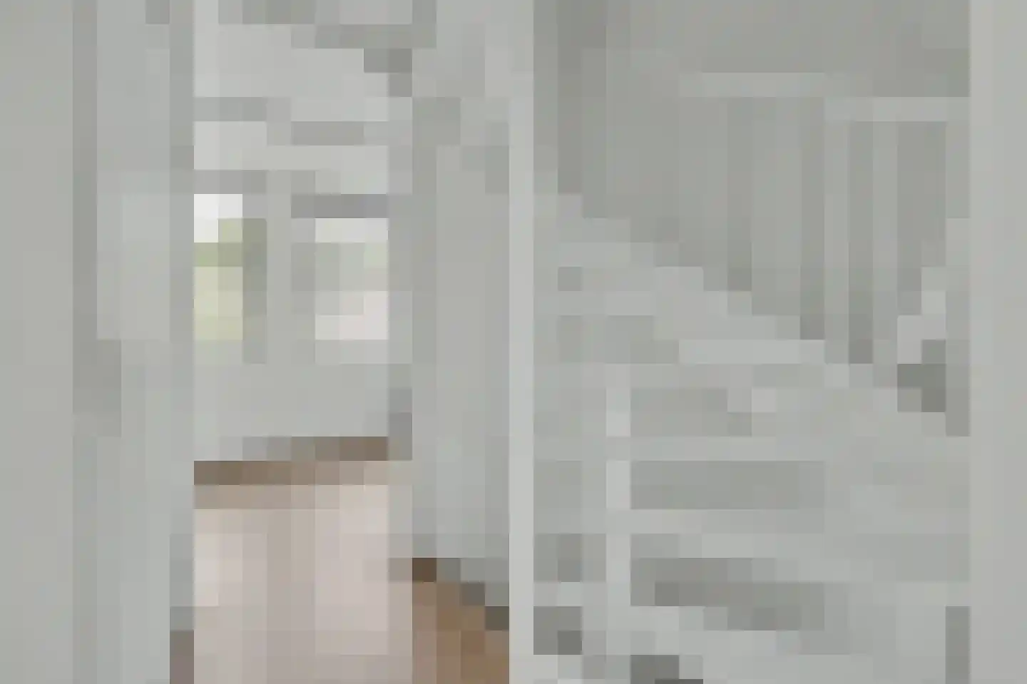 H Roland Holstlaan 13 Kloetinge thumbnail 19