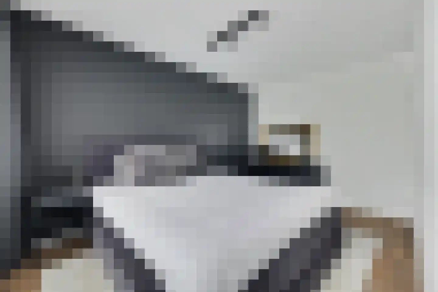 H Roland Holstlaan 13 Kloetinge thumbnail 22