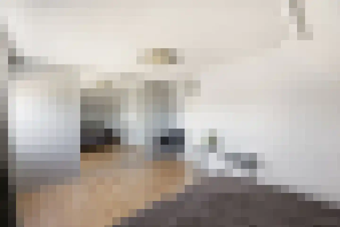 H. Roland Holstlaan 16 Vlissingen thumbnail 30