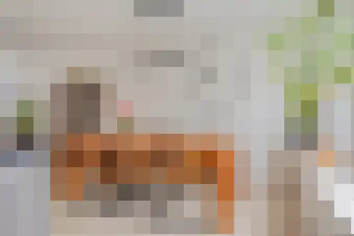 H Roland Holstlaan 9 Kloetinge thumbnail 10