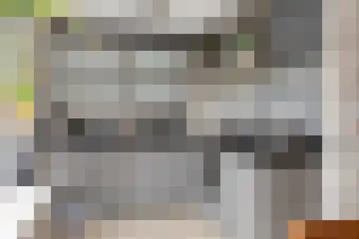 H Roland Holstlaan 9 Kloetinge thumbnail 11