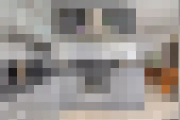 H Roland Holstlaan 9 Kloetinge thumbnail 12