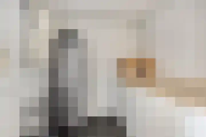 H Roland Holstlaan 9 Kloetinge thumbnail 13