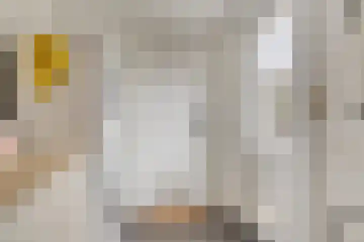 H Roland Holstlaan 9 Kloetinge thumbnail 14