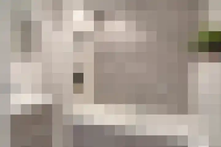 H Roland Holstlaan 9 Kloetinge thumbnail 18
