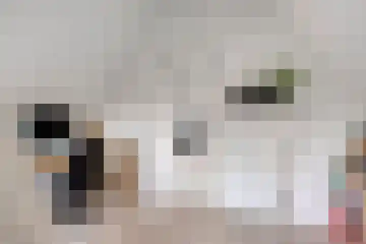 H Roland Holstlaan 9 Kloetinge thumbnail 25