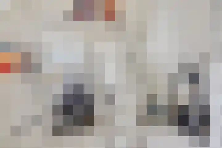 H Roland Holstlaan 9 Kloetinge thumbnail 26