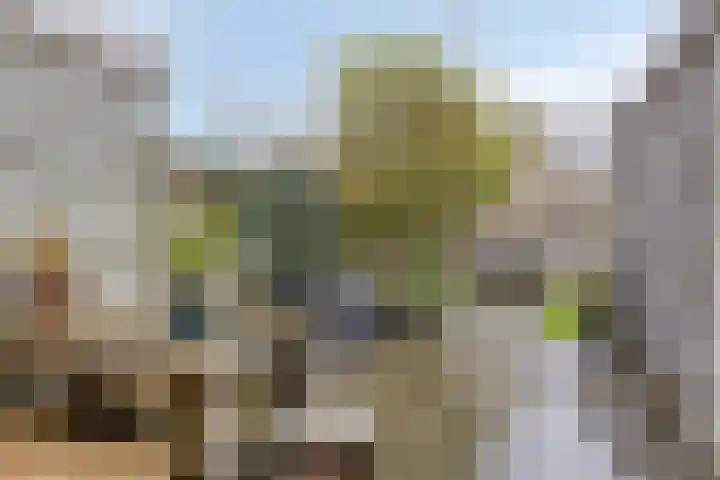 H Roland Holstlaan 9 Kloetinge thumbnail 27