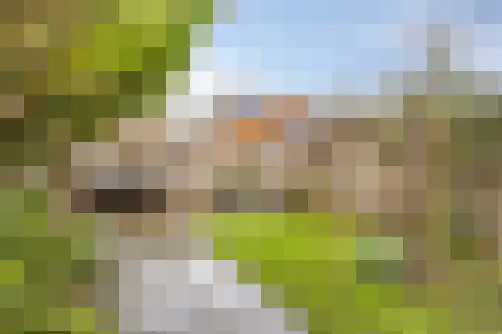 H Roland Holstlaan 9 Kloetinge thumbnail 29