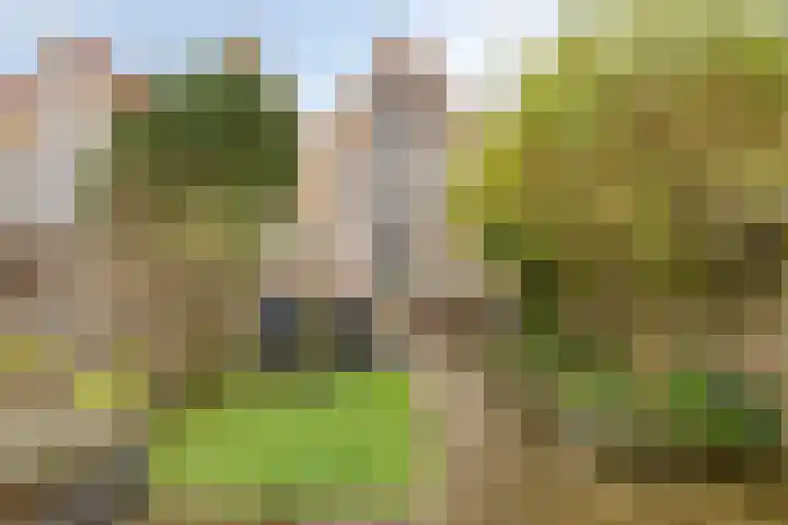 H Roland Holstlaan 9 Kloetinge thumbnail 30