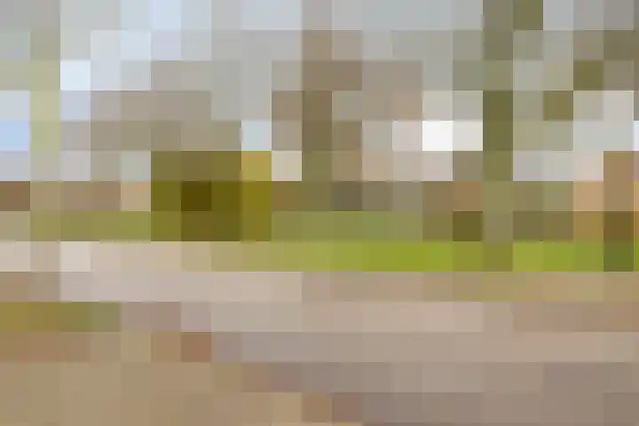 H Roland Holstlaan 9 Kloetinge thumbnail 31
