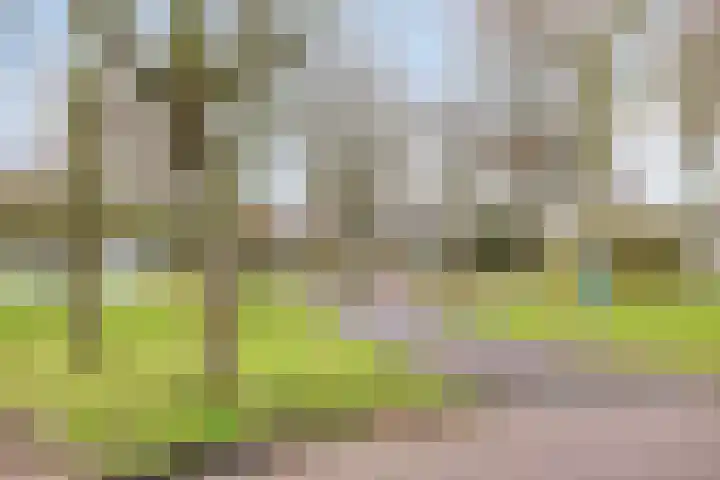 H Roland Holstlaan 9 Kloetinge thumbnail 32