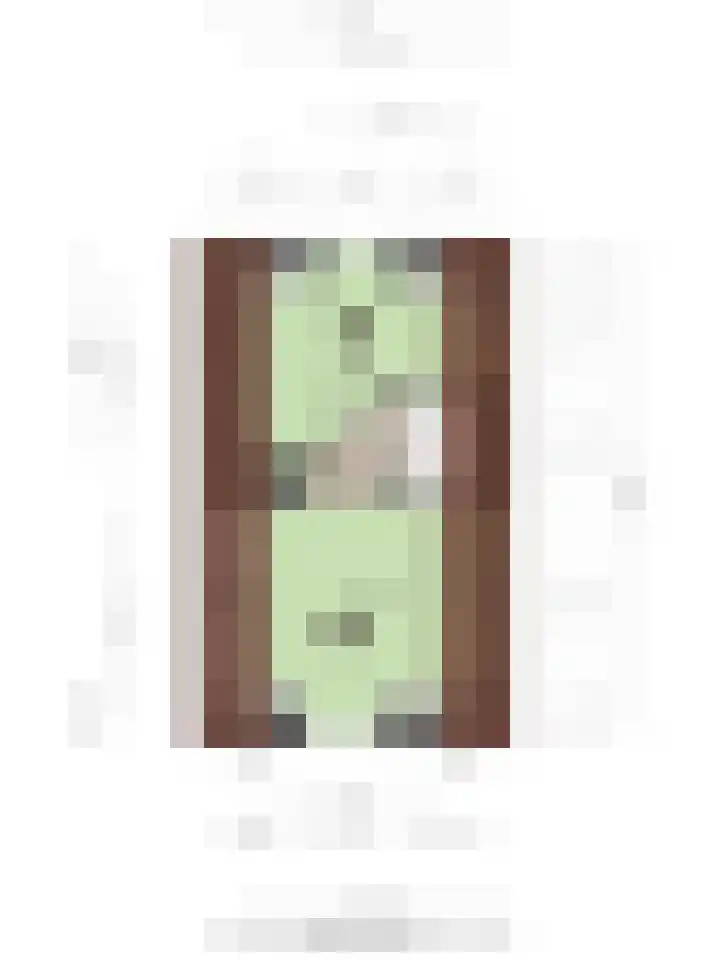 H Roland Holstlaan 9 Kloetinge thumbnail 35