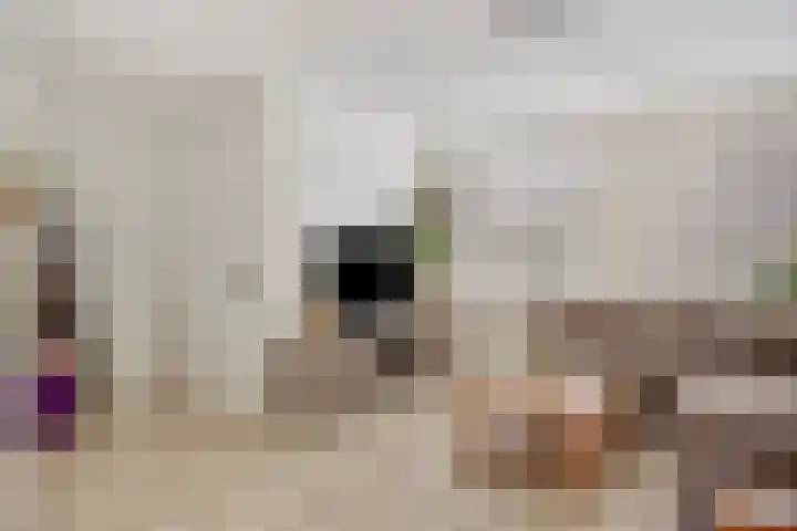 H Roland Holstlaan 9 Kloetinge thumbnail 8