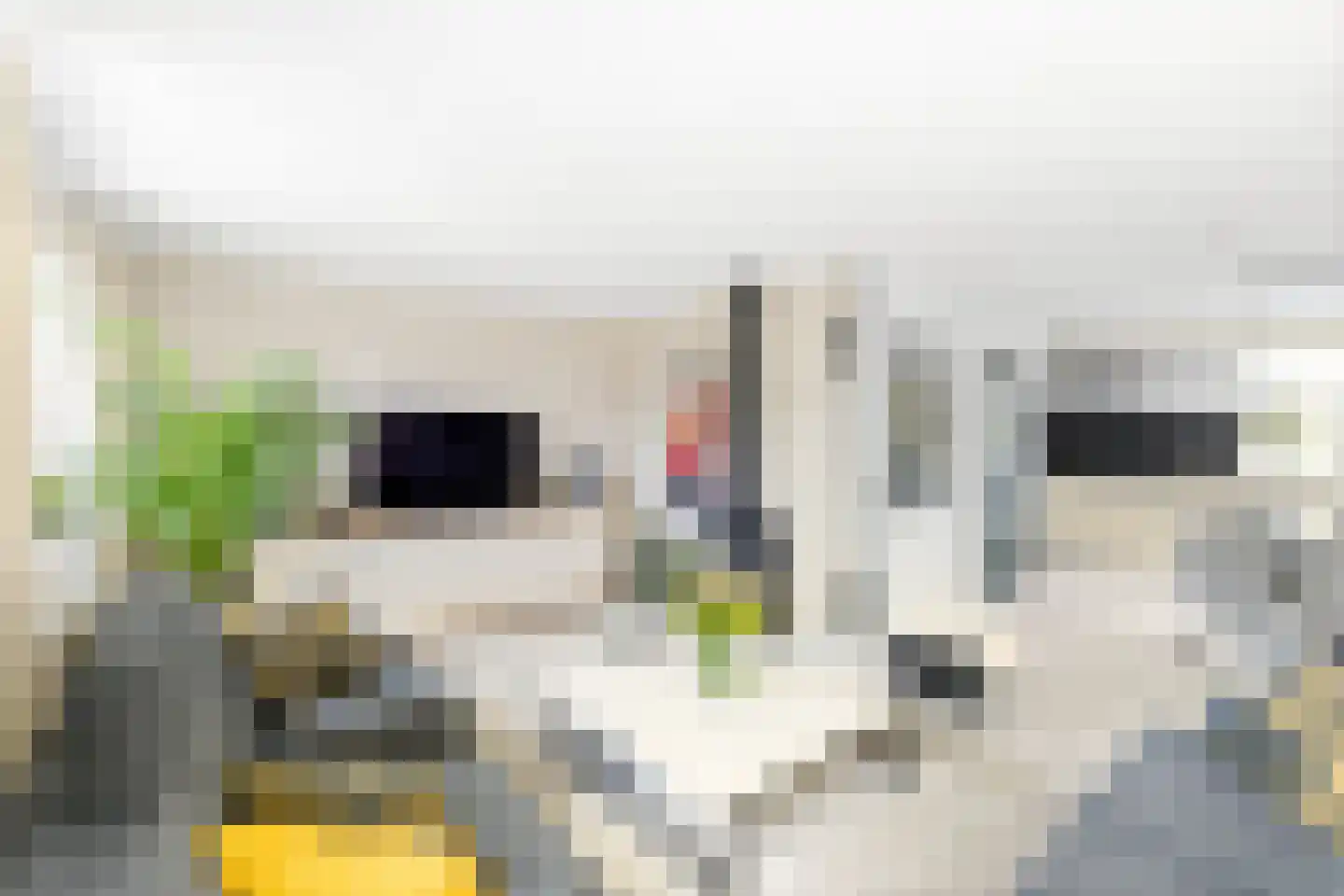 H. Roland Holstlaan 9 Vlissingen thumbnail 15