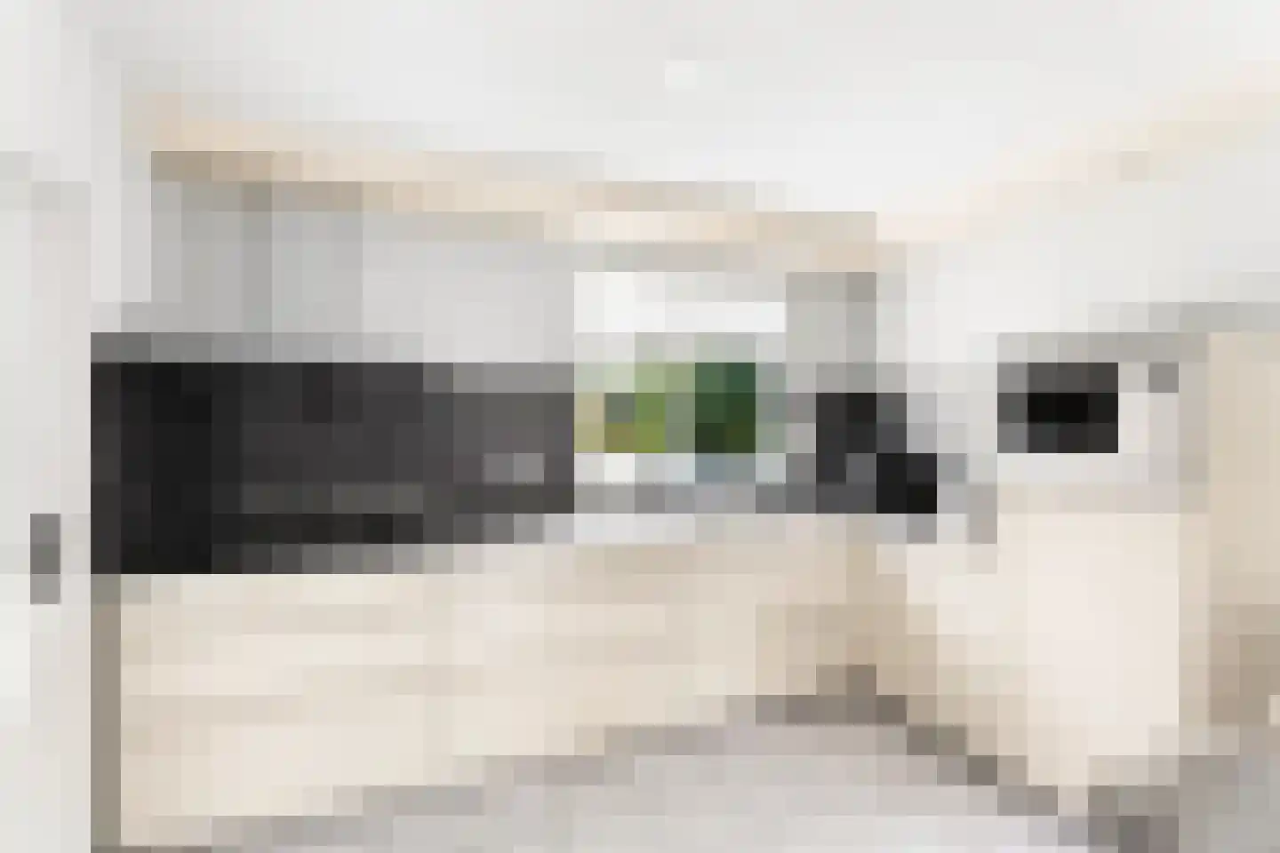 H. Roland Holstlaan 9 Vlissingen thumbnail 22