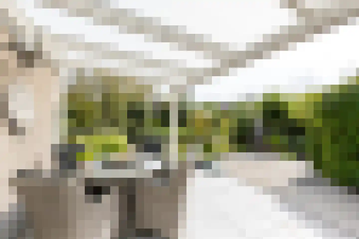 H. Roland Holstlaan 9 Vlissingen thumbnail 33