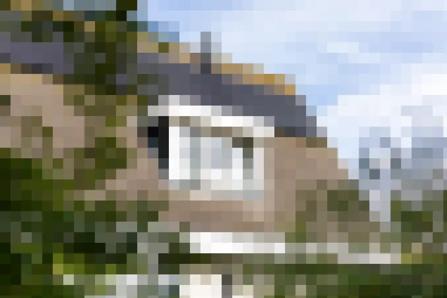 H. Roland Holstlaan 9 Vlissingen thumbnail 36