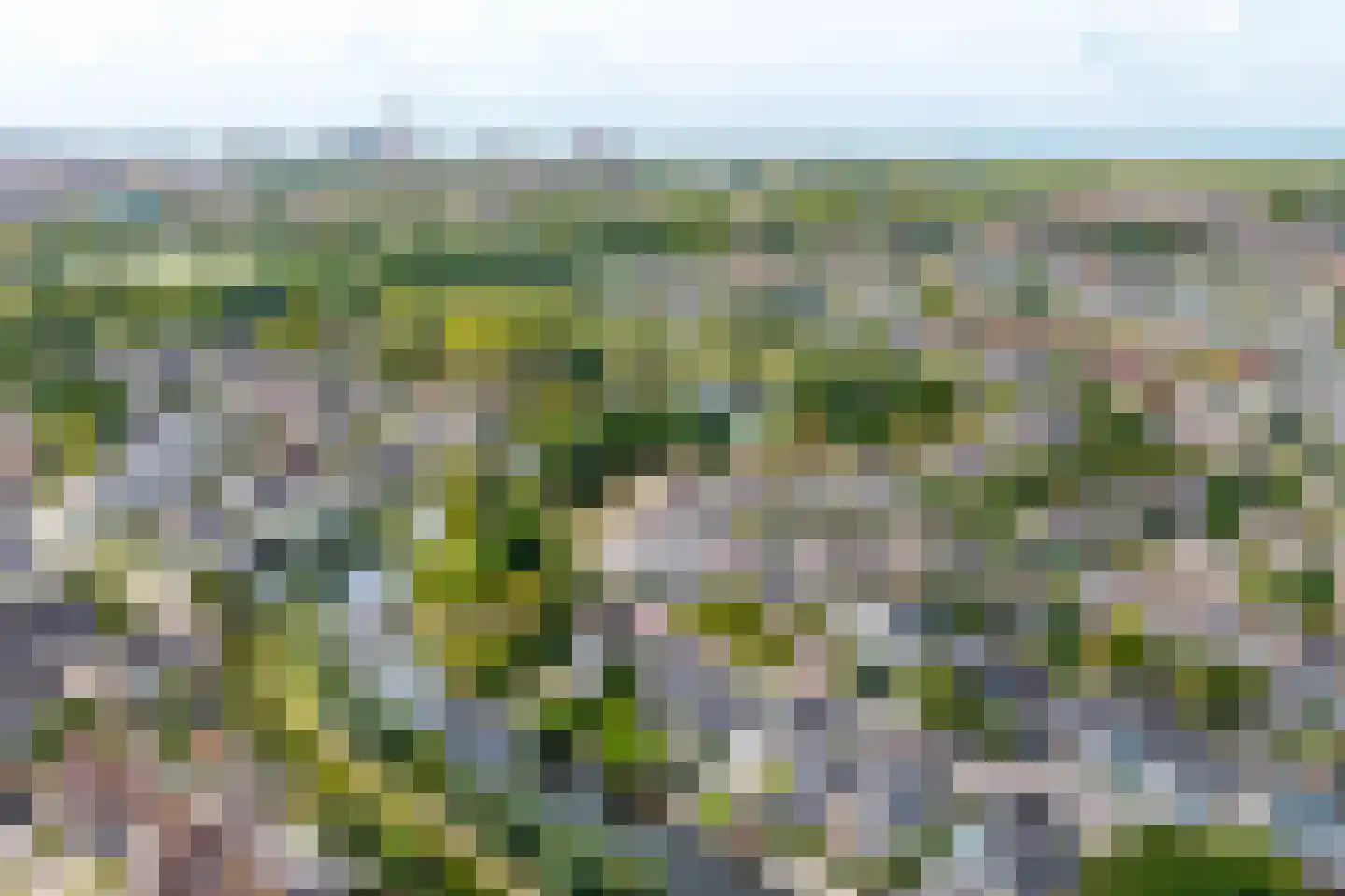 H. Roland Holstlaan 9 Vlissingen thumbnail 4