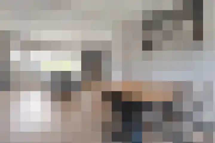 H Roland Holstln 21 Coevorden thumbnail 12