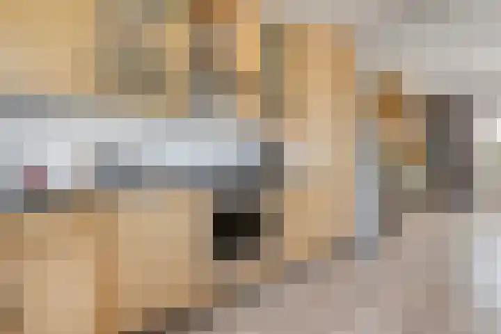 H Roland Holstln 21 Coevorden thumbnail 14