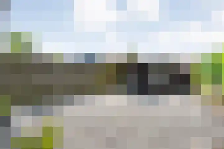 H Roland Holstln 21 Coevorden thumbnail 28