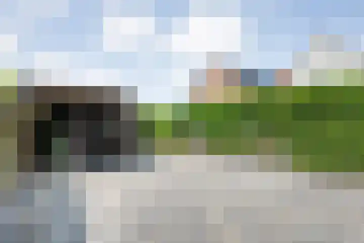 H Roland Holstln 21 Coevorden thumbnail 29