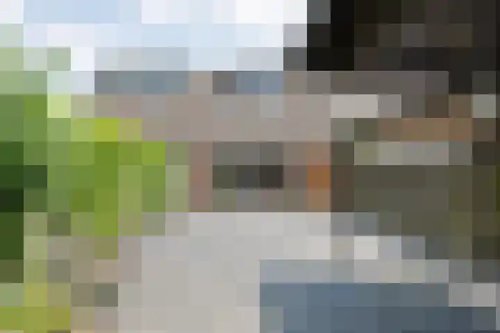 H Roland Holstln 21 Coevorden thumbnail 30