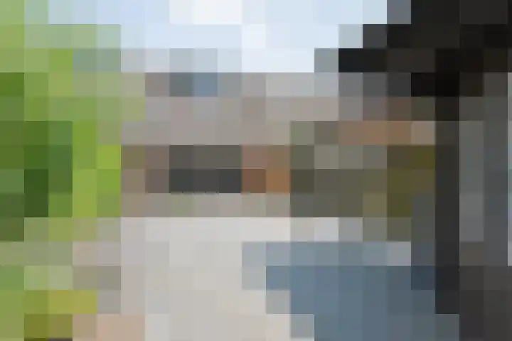 H Roland Holstln 21 Coevorden thumbnail 31