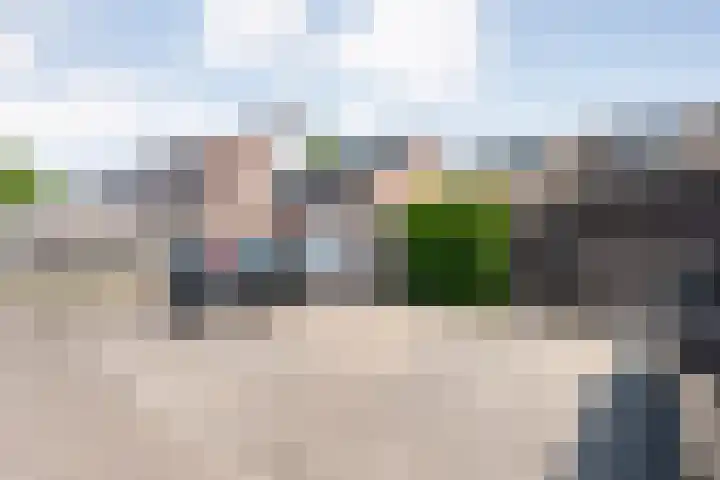 H Roland Holstln 21 Coevorden thumbnail 32