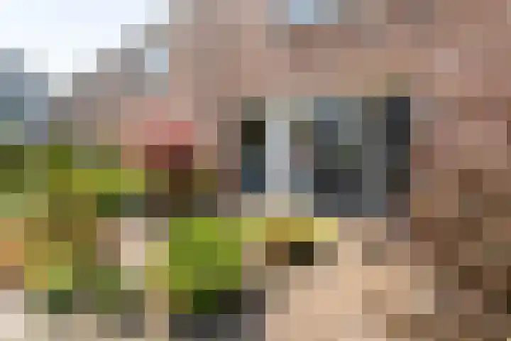 H Roland Holstln 21 Coevorden thumbnail 4